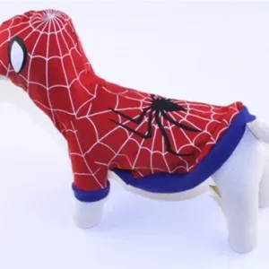 Spider Dog Costume
