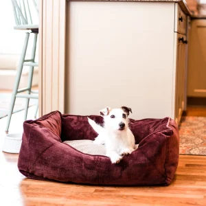 Home & Go Luxury 2-in-1 Dog Bed