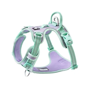 Truelove No Pull Cordura Harness for Dogs (Pastel Lilac)