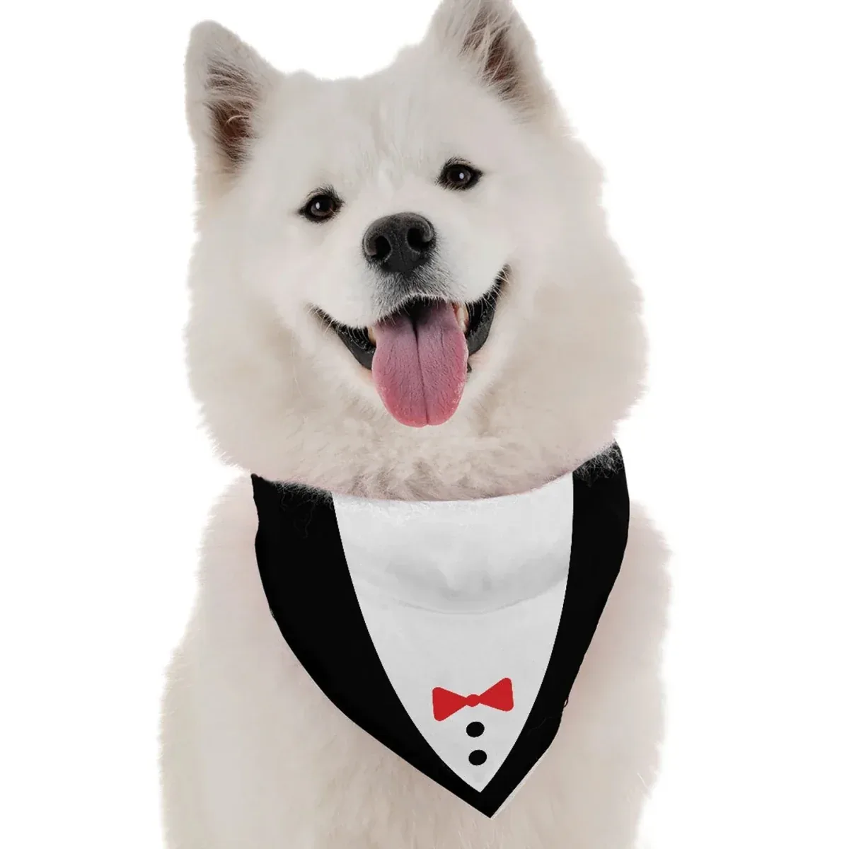 Bandoggies Tuxedo Dog Bandana