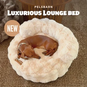 Luxurious Lounge Bed