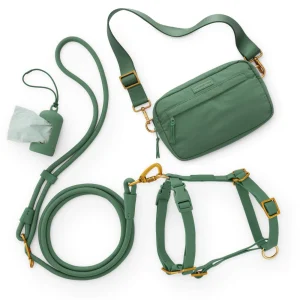 Active Adventure Harness Walk Set (XS/S), Fern