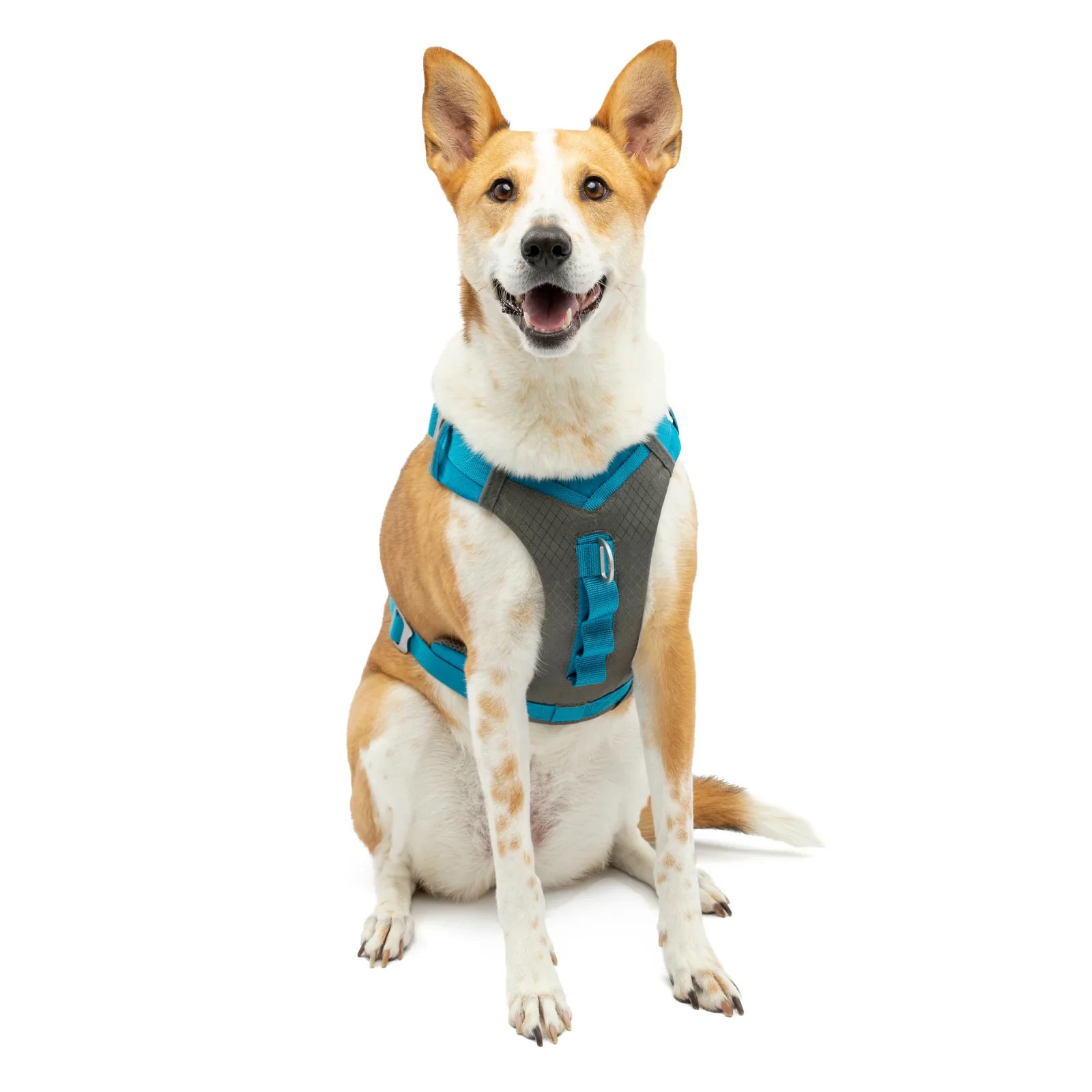 Journey Air Dog Harness