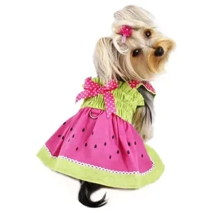Juicy Watermelon Sundress