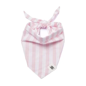 Pink Cabana Stripes Bandana