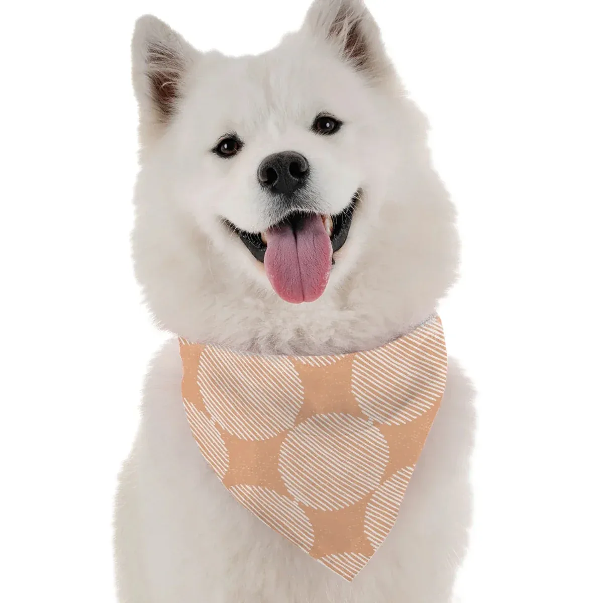 BanDoggie Aria Dog Bandana - Contemporary Elegant Design - Image 2