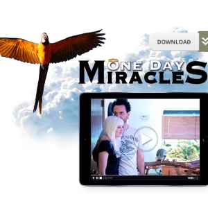 One Day Miracles