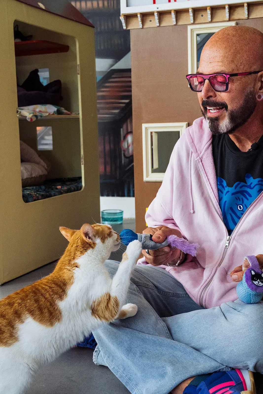 Jackson Galaxy x Feline Frenzy Mic Drop Duo - Image 2
