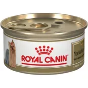 Royal Canin Breed Health Nutrition Yorkshire Terrier Adult Loaf in Sauce Wet Dog Food