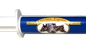 Divine Equine Oralx Paste (34 g)