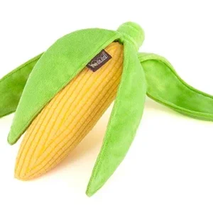 Farm Fresh Corn