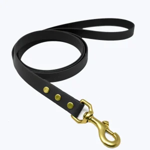 CLASSIC BRASS DOG LEASH