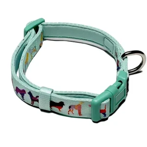 DRL Dog Collar, Seafoam