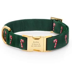 Evergreen Candy Canes Embroidered Dog Collar