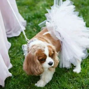 White Bridal Dog Tutu Skirt by Tutu Joli