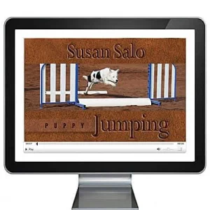Clean Run Puppy Jumping