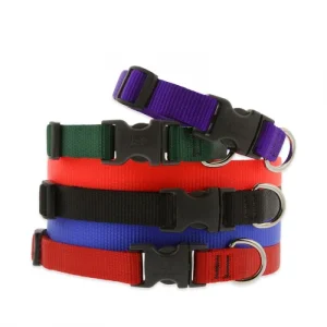Basic Solids Dog Collar