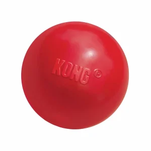 KONG Ball with Hole Dog Fetch Dog Toy
