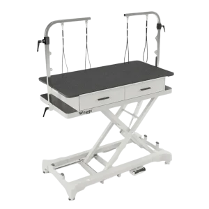50" Dog Grooming 908P Electric Table with Drawer by Waggz
