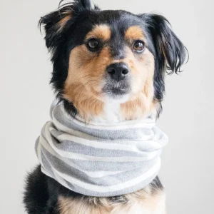 MB SNOOD