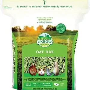Oxbow Oat Hay Small Animal Hay - 15 oz Bag