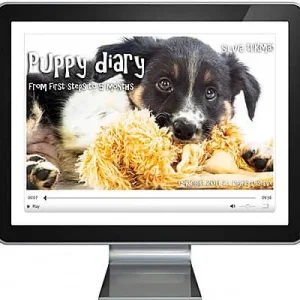 Clean Run Puppy Diary