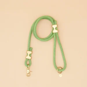 Fuji Rope Leash - Neon Green