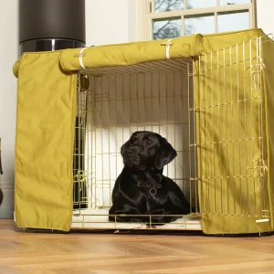 Dog Crate with Crate Cover in Olive Velvet by Lords & Labradors