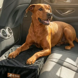Dog Car Seat Extender