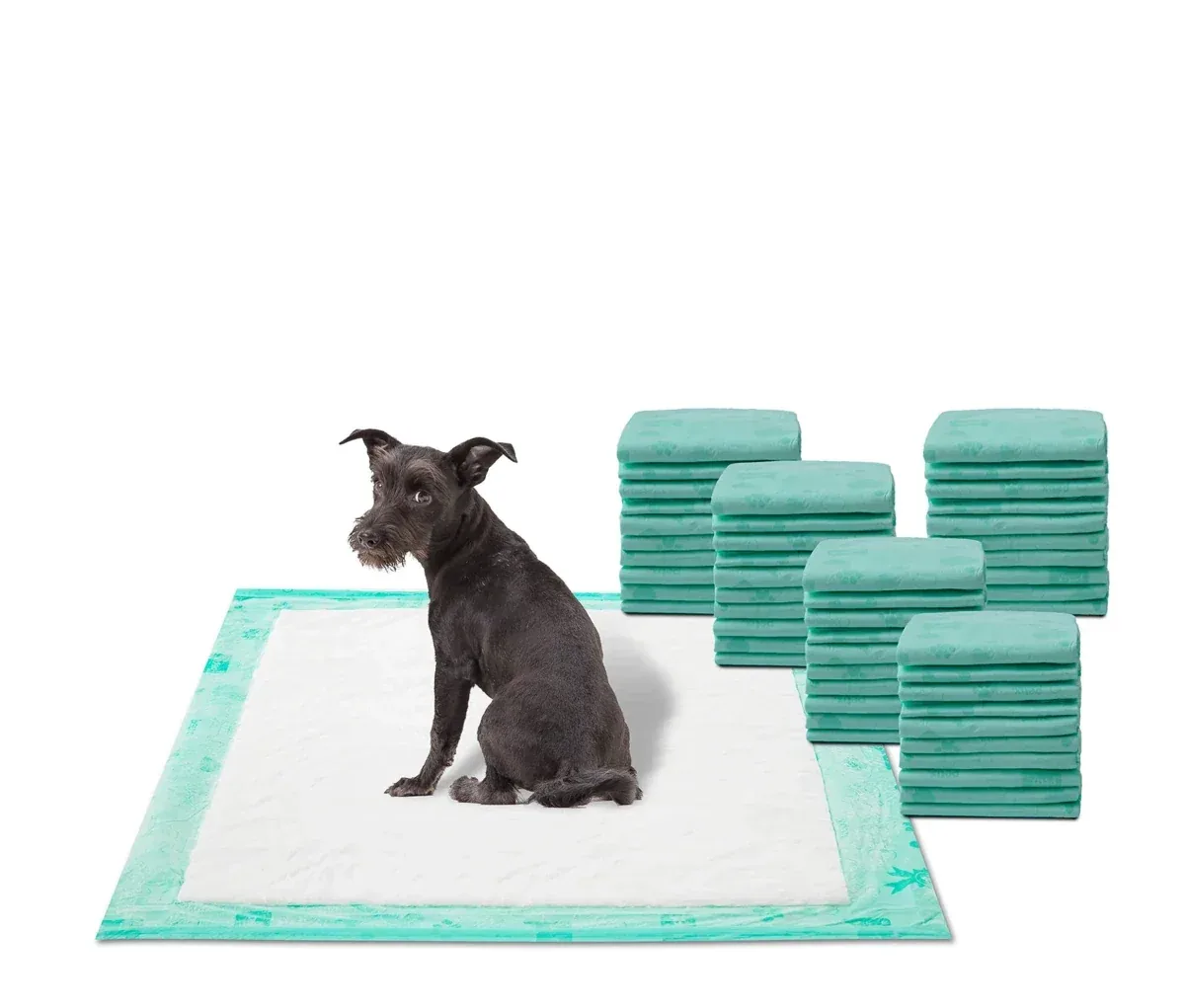 WizSmart All Day Dry Dog Pads Super, 50-Count - Image 2