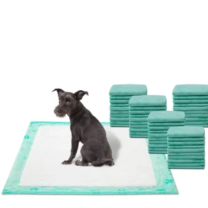WizSmart All Day Dry Dog Pads Super, 50-Count