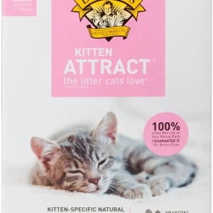 Dr. Elsey's Precious Cat Litter Alternative Premium Clumping Kitten Attract Cat Litter - 20 lb Box