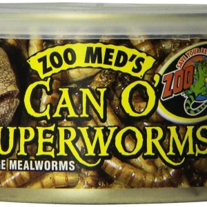Zoo Med Laboratories Can O’ Superworms for Large Lizards, Asian & American Box Turtles, or Aquatic Turtles - 1.2 Oz
