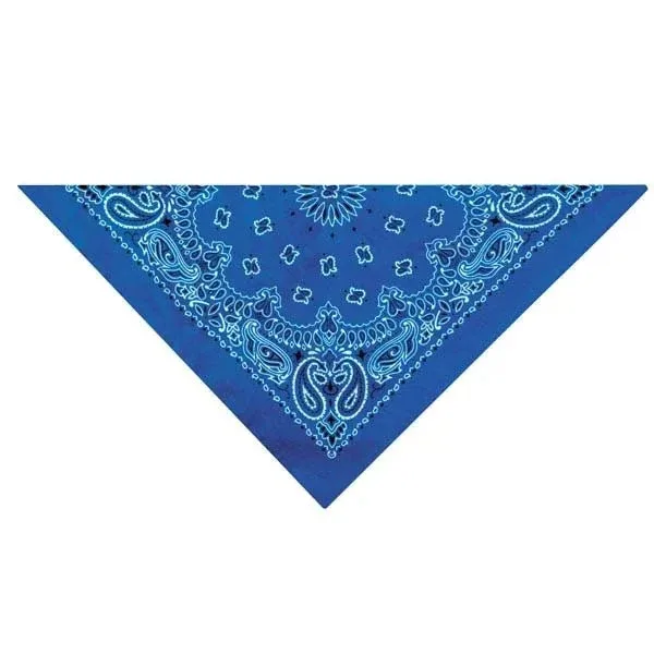 TP Paisley Bandana Dk Blu - Image 2