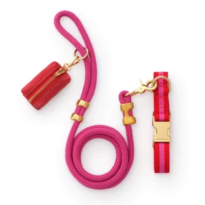 Charlotte Striped Webbing Collar Walk Set