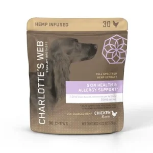 Charlotte's Webb Dog Hemp Skin Healthy Chew - 30 Count
