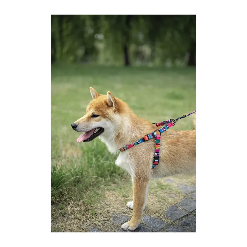 M Pets Urban Style Jazz Stripes Harness for Dogs - Image 2