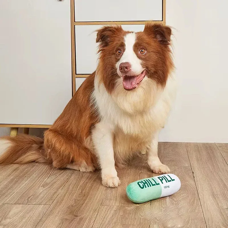 Talking Dog Chill Pill Plush Toy for Dogs (Green) - Image 2