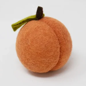 Felt Toys