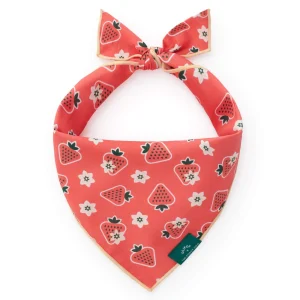 OLIPOP x TFD Strawberry Vanilla Dog Bandana