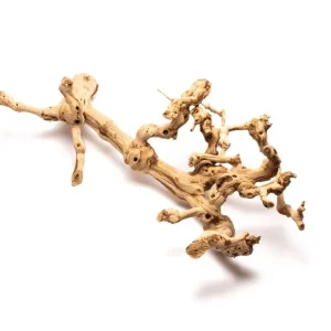 Grape Wood (Large) 20-28"