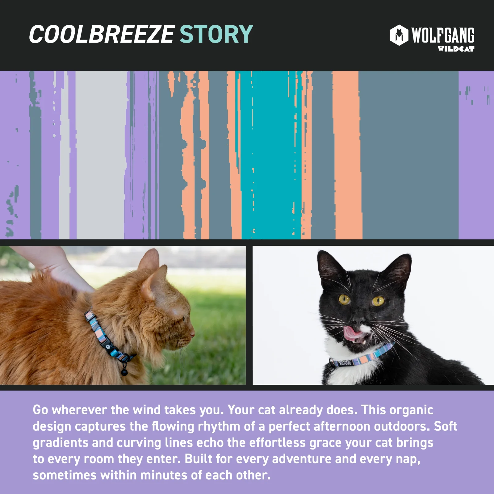 CoolBreeze Venture Cat Collar - Image 2