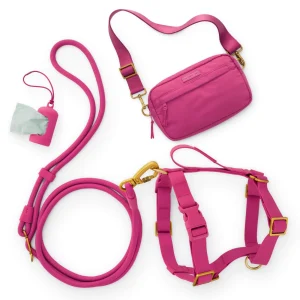 Active Adventure Harness Walk Set - With Handle (M/L), Dahlia