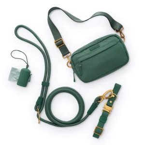 Active Adventure Collar Walk Set, Fern