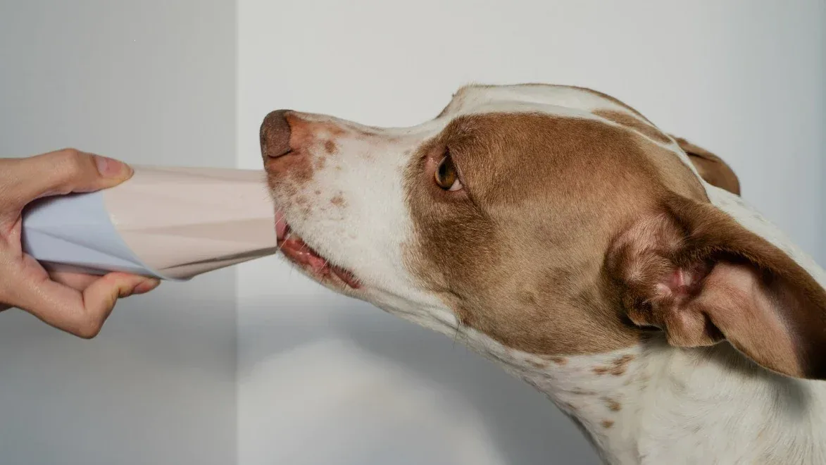 THE UBBE TREAT INTERACTIVE DOG TOY - Image 2