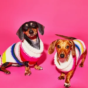 Neon Striped Turtleneck
