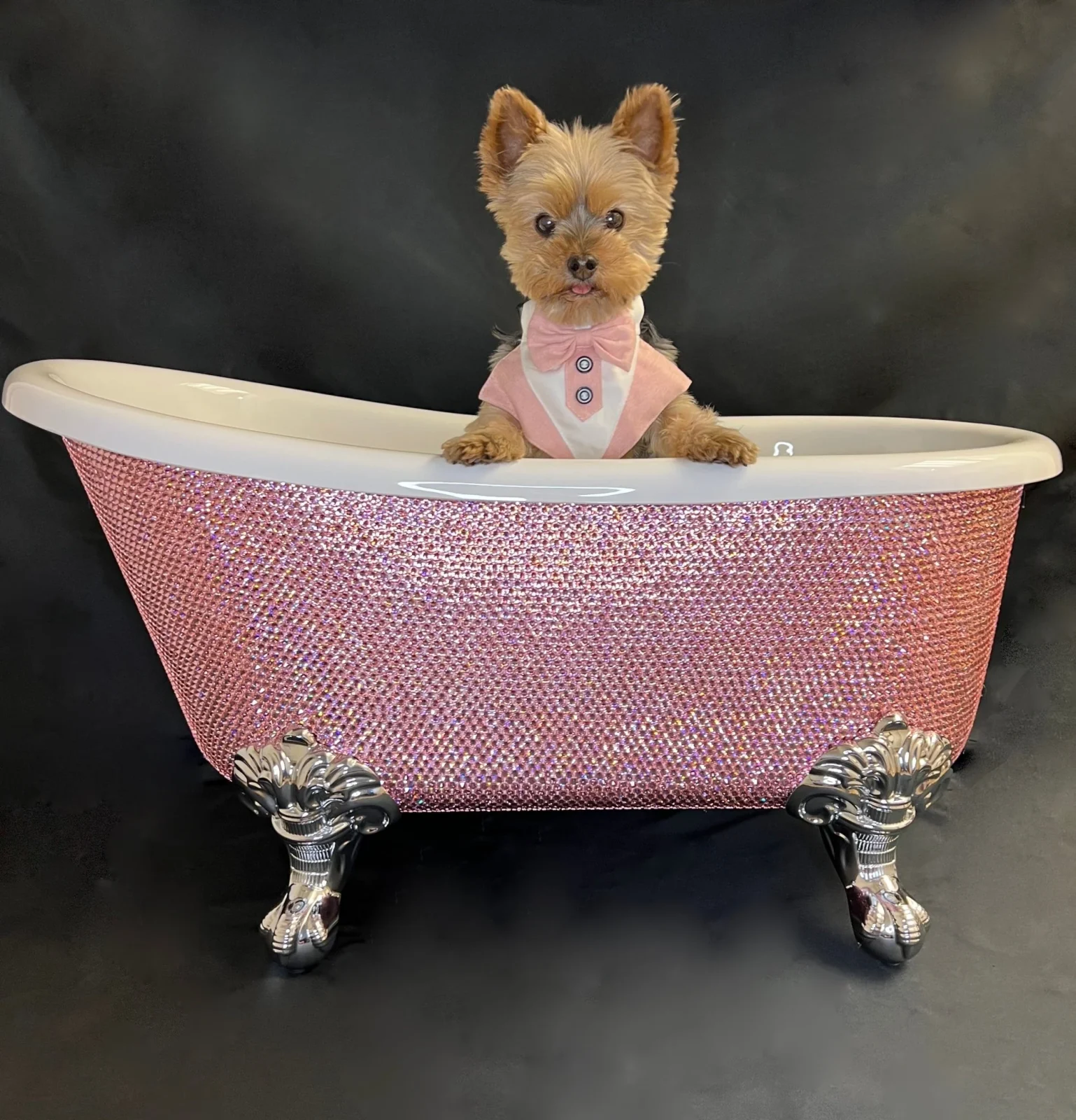 Diamond Crystal Dog Bathtub - Many Colors - Image 2
