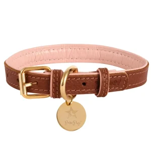 PoisePup Dog Collar, Melting hearts