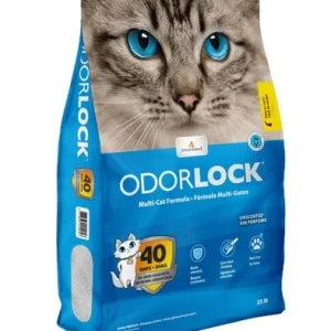Intersand Classic Premium Clumping Odor Lock Cat Litter - Baby Powder #25