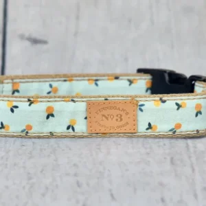Clementine Dog Collar